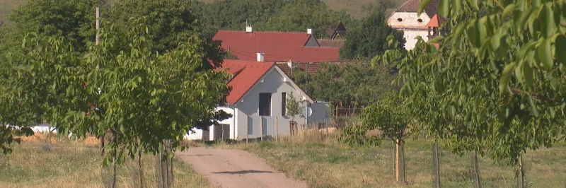 Vohančice porazily sucho. Pomohly rybníky, tůně i tisíce stromů