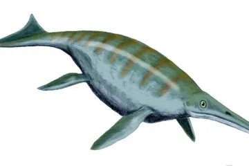 Jako matrjoška. V útrobách pětimetrového pravěkého plaza našli vědci dalšího, čtyřmetrového