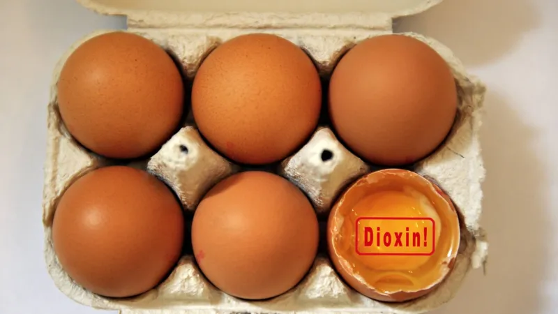 Za nákazou salmonelózy jsou zřejmě vejce