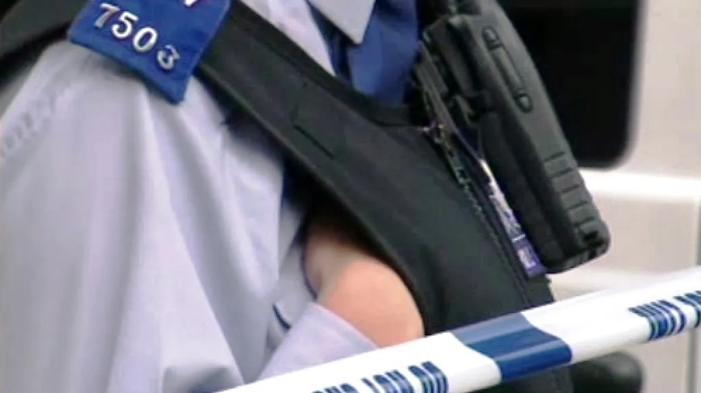 Britská policie