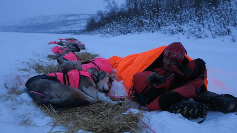 Psí láska (2020, režie: Linda Kallistová Jablonská)