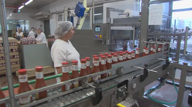 Firmě Hamé nyní chybí pro nemoc ve výrobě 60 pracovníků