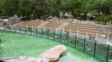 Nový lachtaní pavilon v Zoo Praha