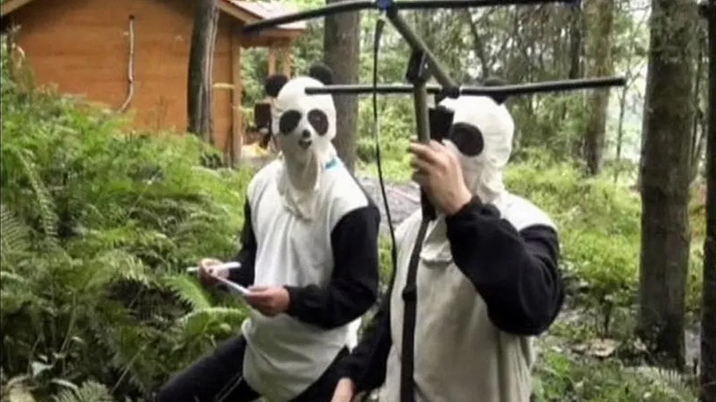 Pandí kamufláž