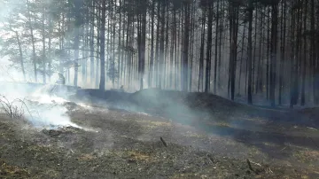 Požár lesa u Bzence