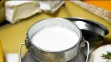 Madeta od dubna přestává vykupovat mléko
