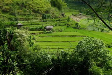 Bali, to nejsou jen pláže. Nadchnou rýžová pole i dýmající sopky
