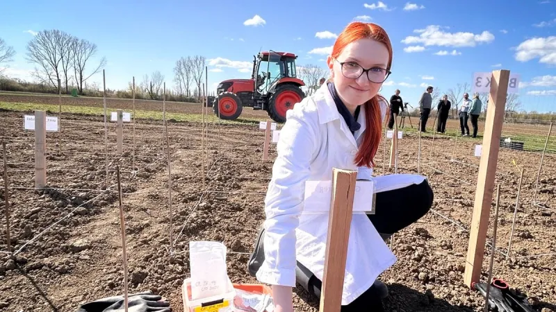 Pole s vysetým experimentálním ječmenem