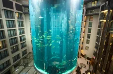 V centru Berlína prasklo obří akvárium s milionem litrů vody, zastavilo dopravu