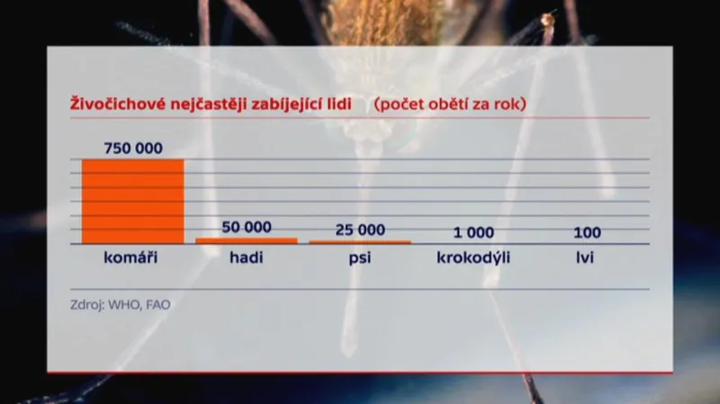 Komáři - největší zabijáci lidí