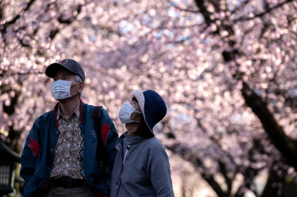 Japonci ani letos nechtěli přijít o procházku pod rozkvetlými sakurami. Neobešlo se to ale bez preventivního opatření kvůli koronaroviru. Foceno v prefektuře Saiatma