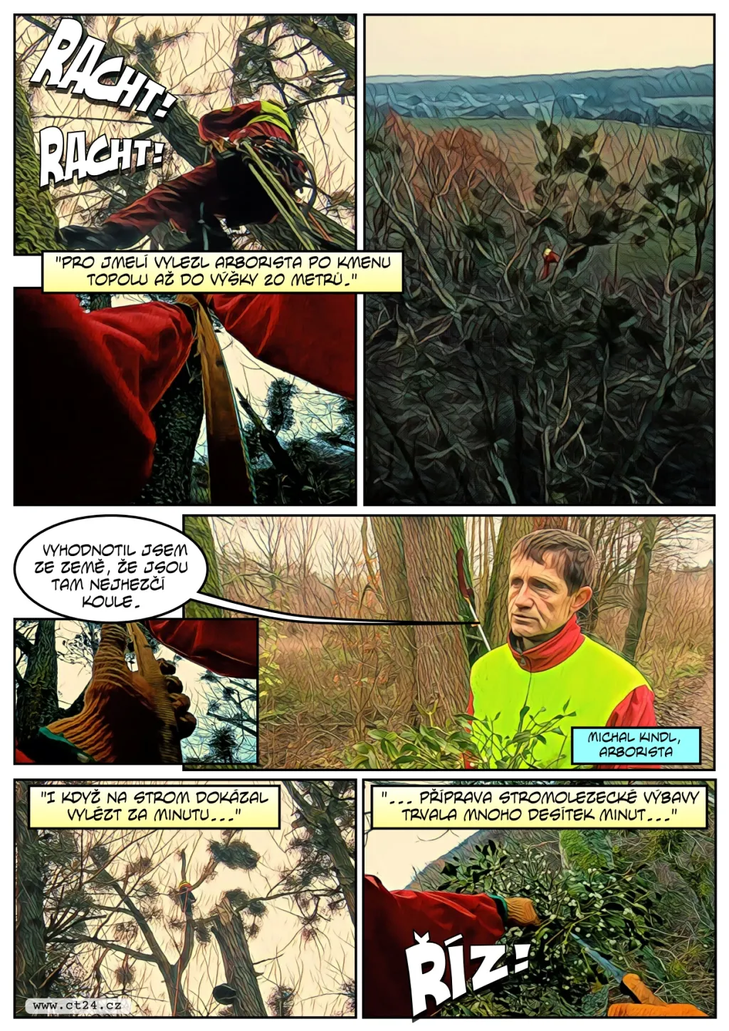 Stromolezci šplhají pro jmelí