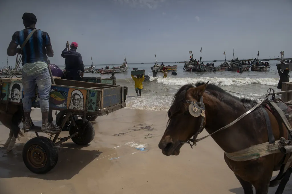 Místní obyvatelé z okolí senegalské zátoky Bargny se rybolovem živí od nepaměti. Jejich metoda lovu a zpracování úlovku se dědí z generace na generaci