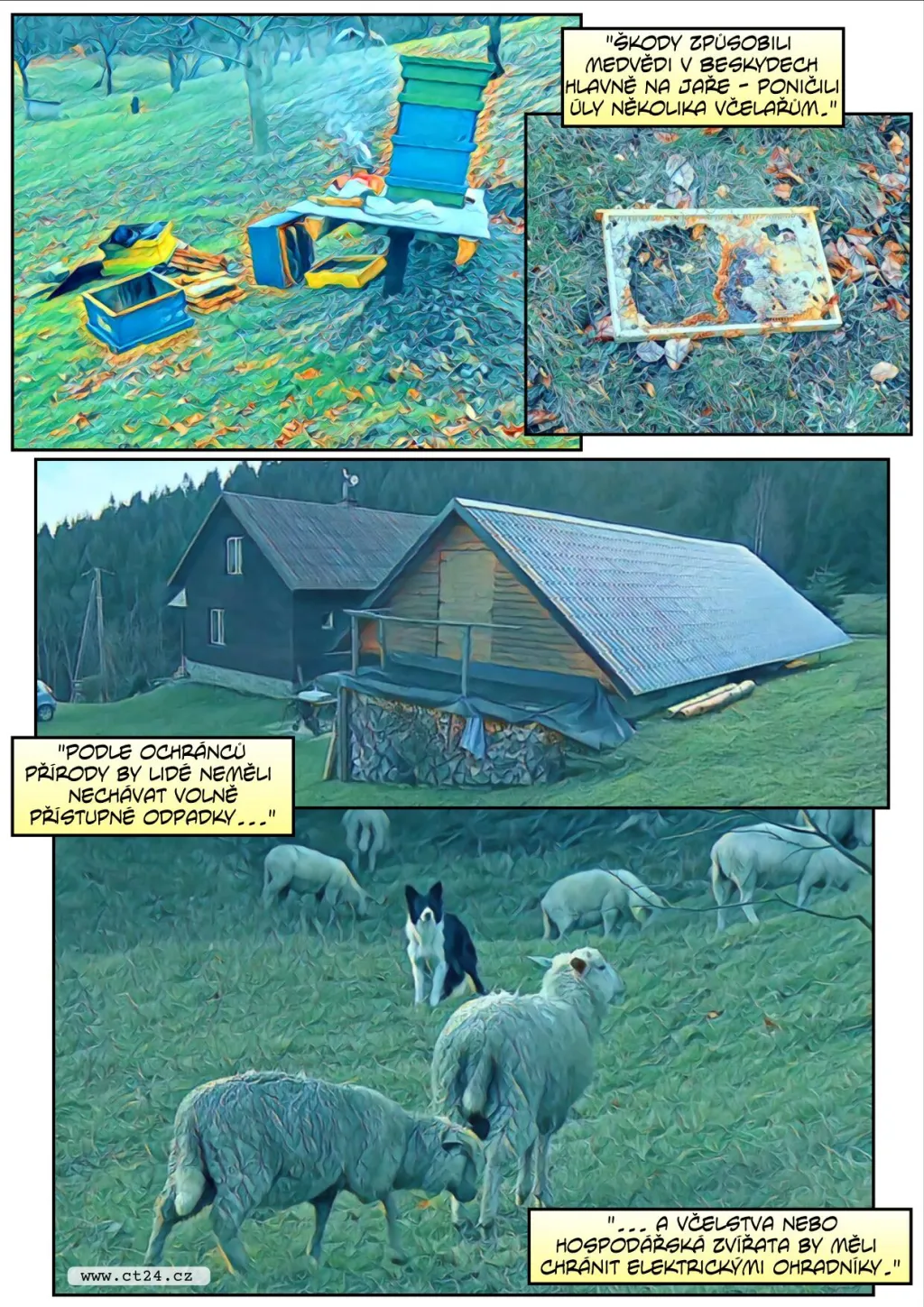 Povolení k odchytu medvěda