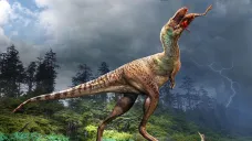 Gorgosaurus lovící mládě z rodu citipes