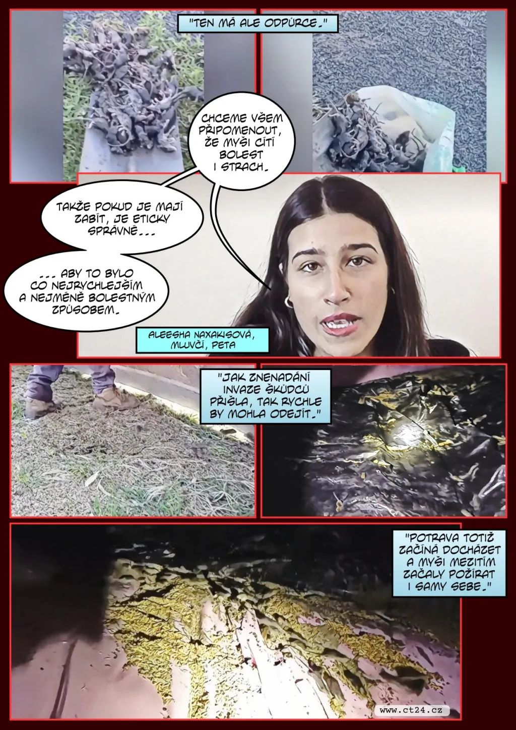 Záplava myší vyhnala v Austrálii vězně i jejich dozorce. Hlodavci poničili bezpečnostní systém