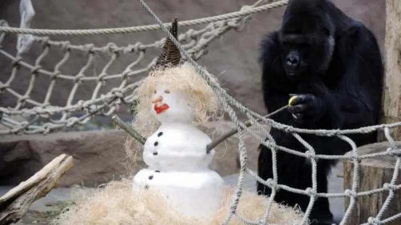 Richard a sněhulák