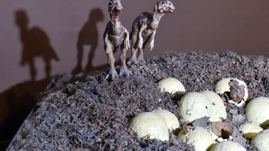 Expozice ukazuje pravěký život nad i pod hladinou