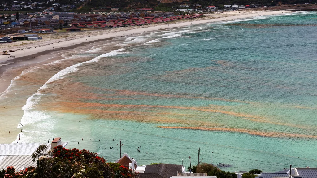 Rudý příliv je dobře viditelný i pouhým okem