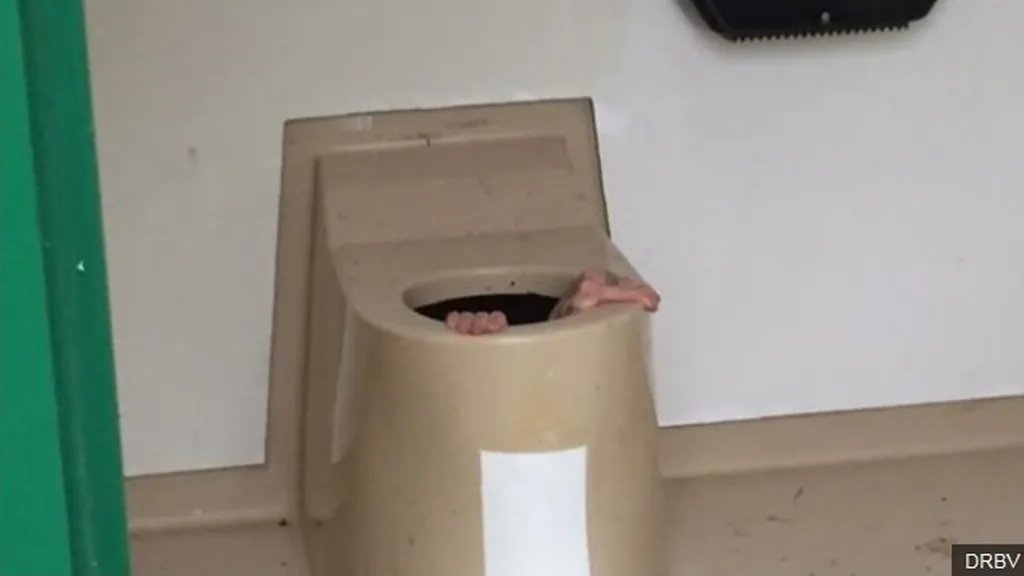 Mladík skočil kamarádovi v Norsku pro mobil do záchodu