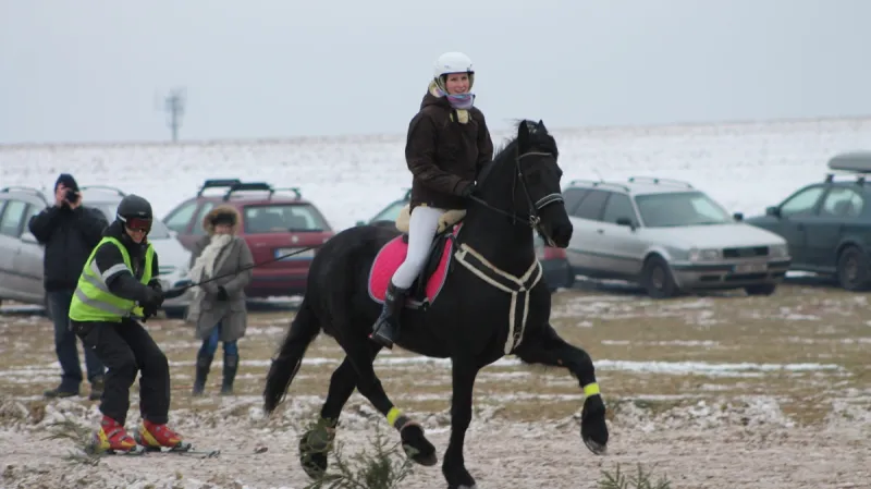 Horseskijöring v Krkonoších