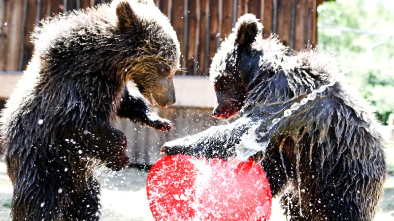 "Natáčet se pak musí velmi pohotově."