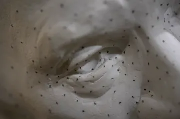 Svědek holocaustu Elie Wiesel zaujal místo ve Washingtonské národní katedrále