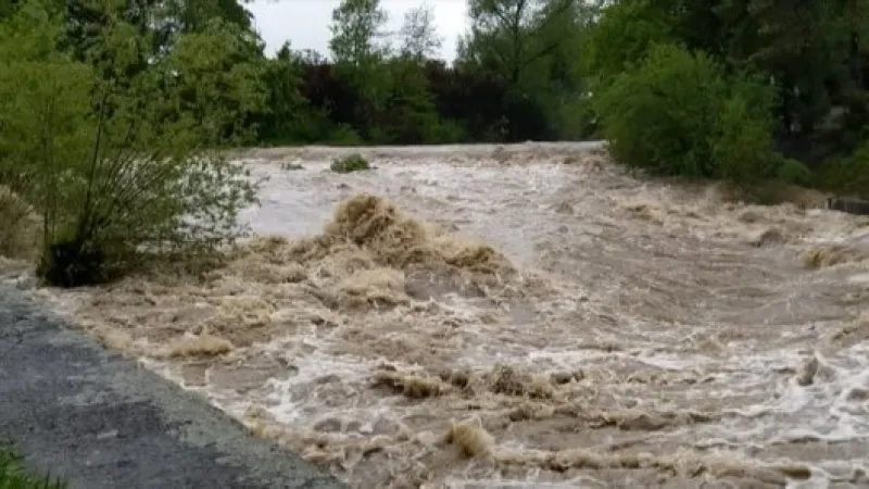 Nepojmenovaný obrázek z online přenosu - zpráva z 2019-05-23 13:11:12 - obrázek 1