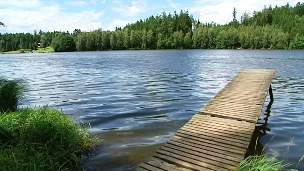 Rybník