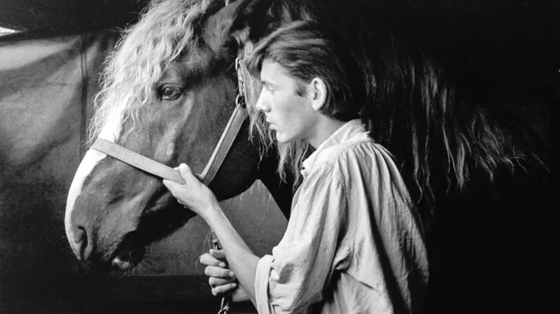 Fotografie Jana Reicha