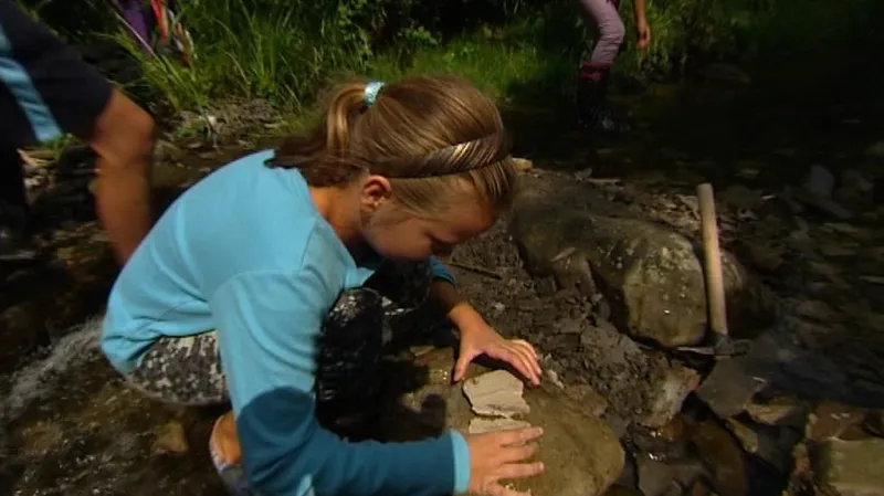 Paleontologický průzkum