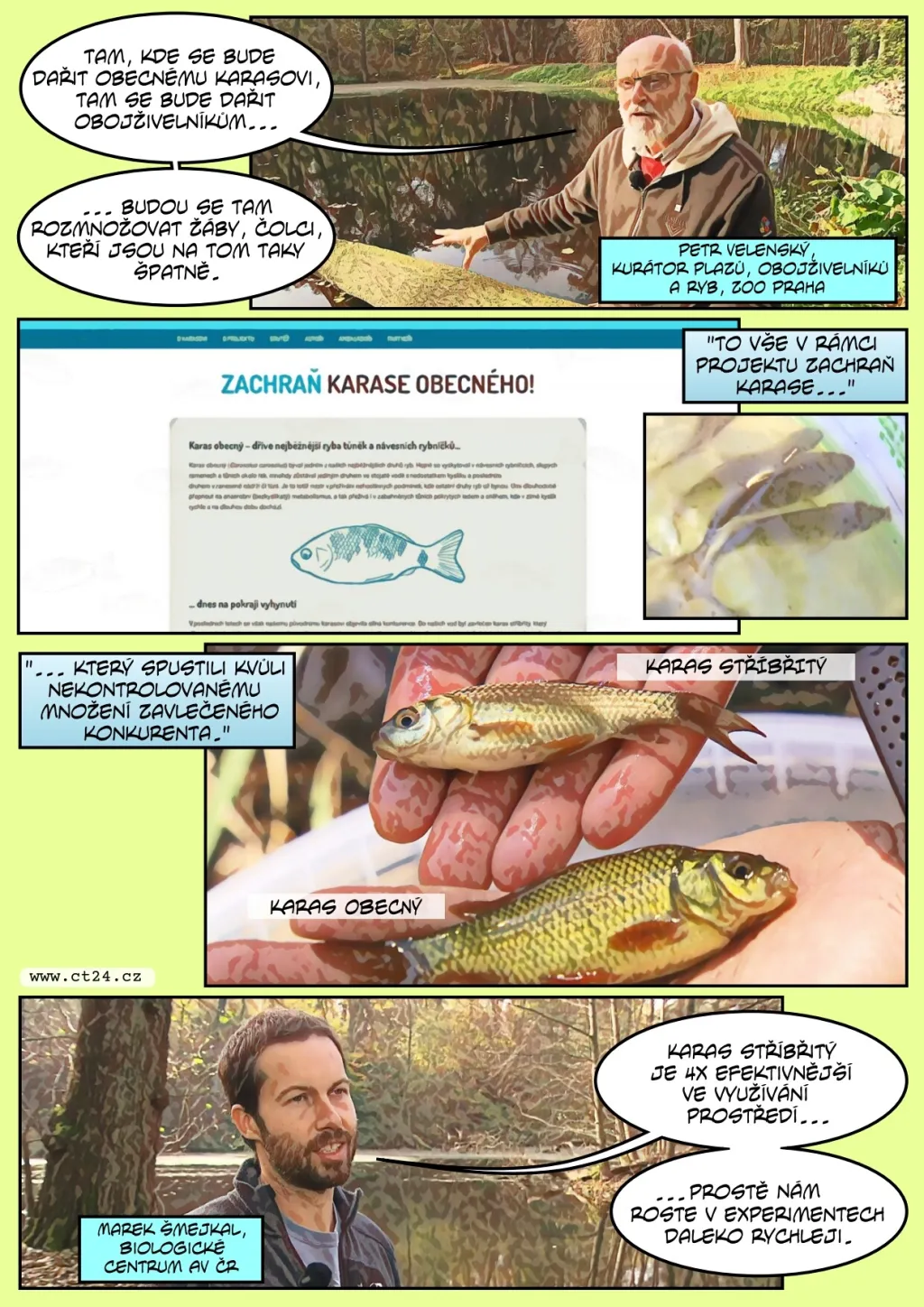Ochranáří vypustili karasy