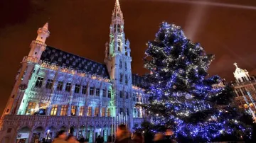 Tradiční vánoční strom v Bruselu