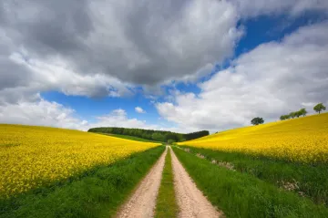 Kudy domů? Co dělat, když k vašemu pozemku nevede cesta