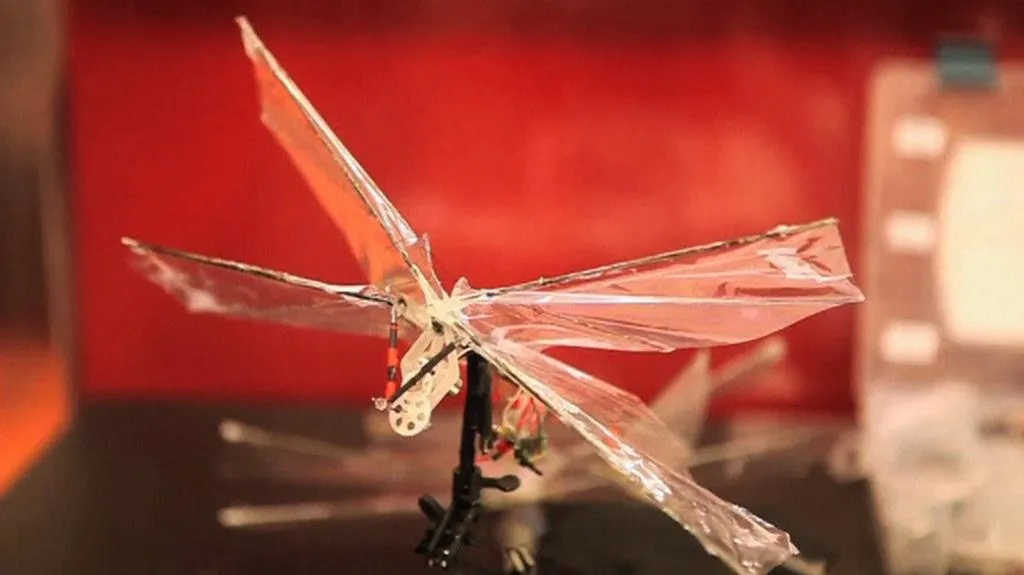 Tvarem i strukturou vychází křídla dronů z křídel ptačích