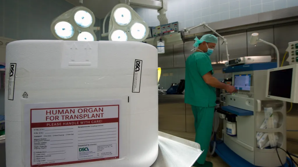 Transplantace orgánů