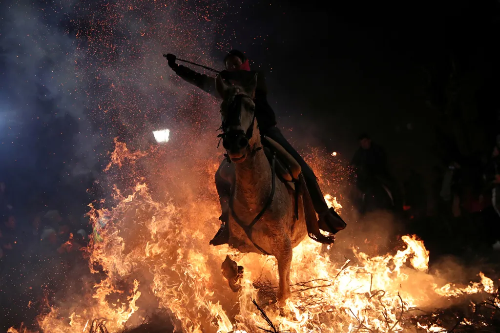 Žena v sedle koně proskakuje plameny během každoroční oslavy „Luminarias“ v předvečer svatého Antonína, španělského patrona zvířat, ve vesnici San Bartolomé de Pinares nedaleko Madridu