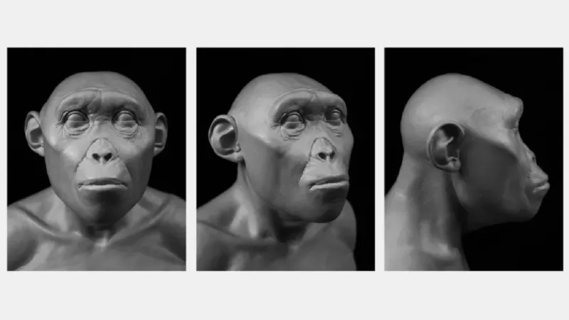 Rekonstrukce Lucy z různých úhlů