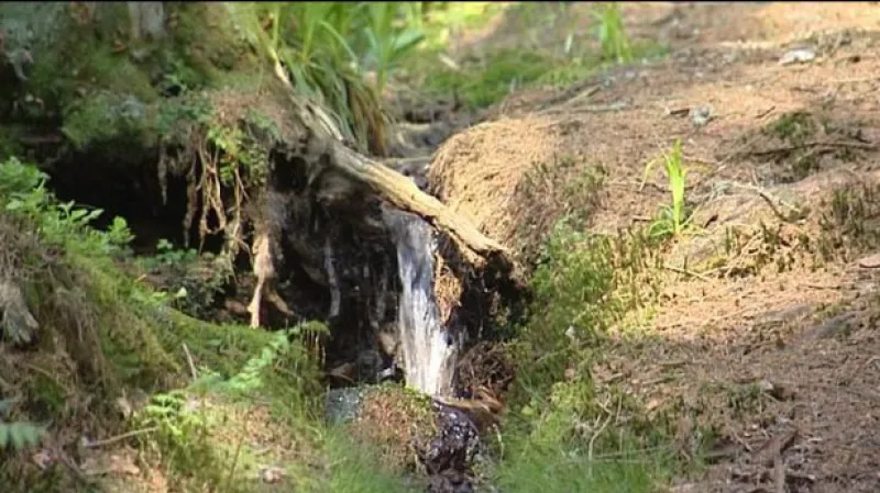 Rozhovor s Tomášem Chalupou