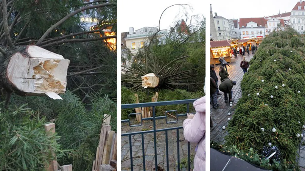 Zřícený vánoční strom v Tallinnu