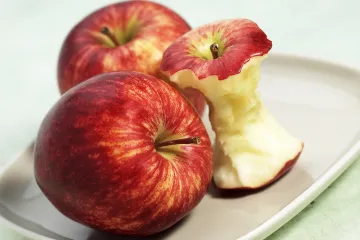 Ohryzek do speciální popelnice? Třídění bioodpadu by mohlo být povinné