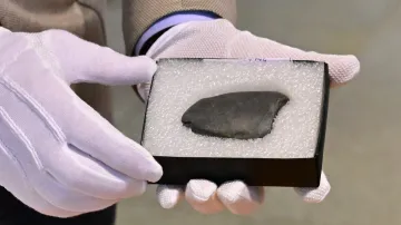 Exponáty výstavy Objevy muzejních archeologů