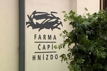 HN: OLAF píše o podvodu a nepravdivých informacích v dotační žádosti