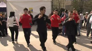 Romský den v Brně