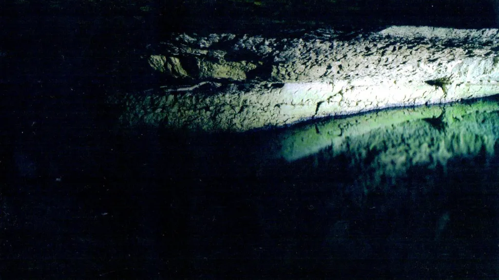 Eric Hurtado / Hlas (2009)