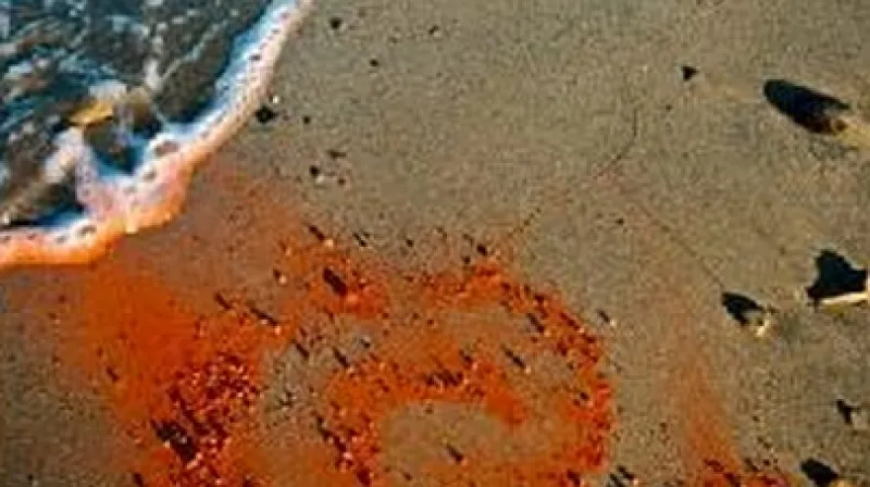 Jan Pohribný / Spirála (1984)