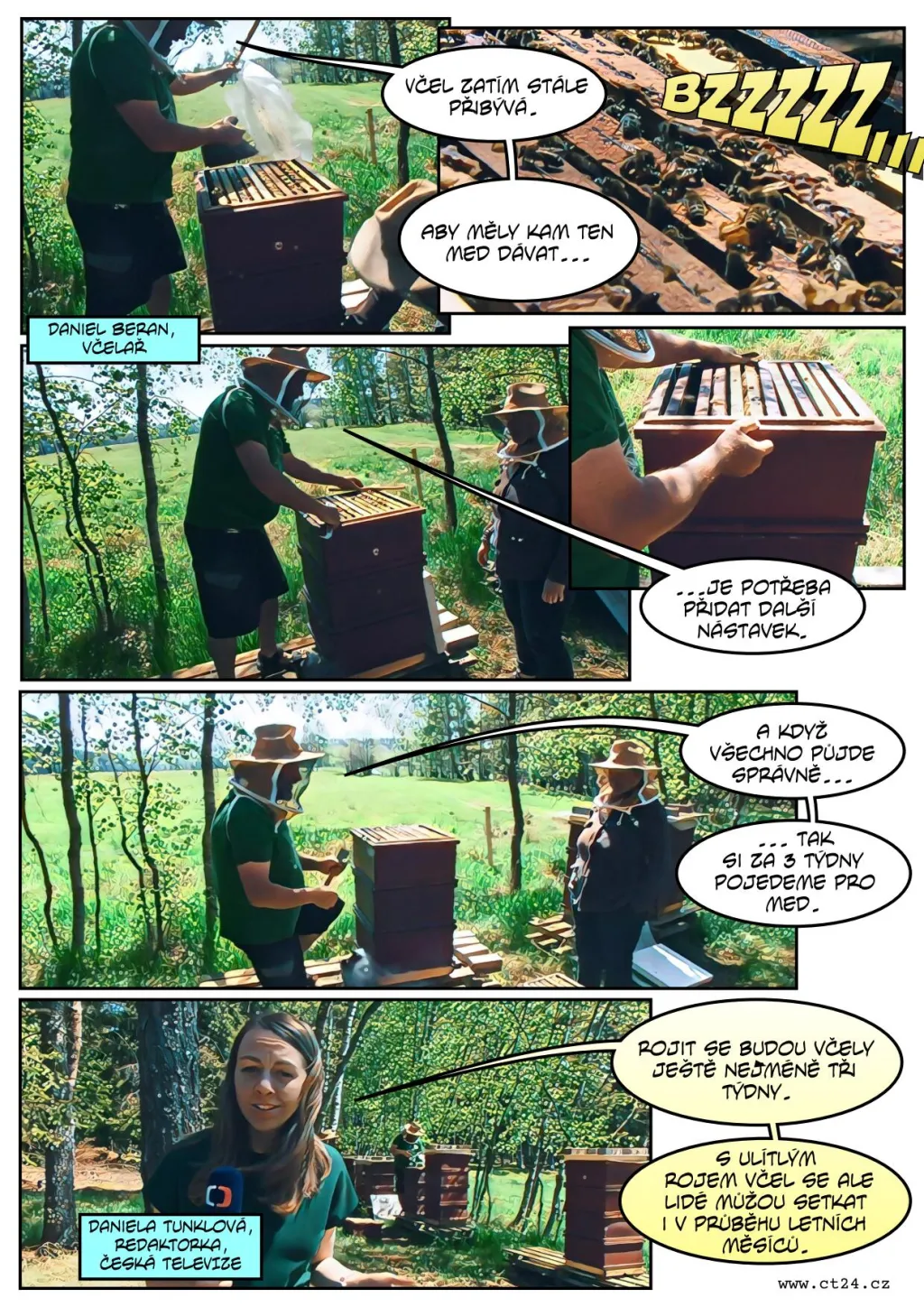 Včely se rojí, ne vždy musí vyjet hasiči