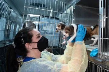 Konec utrpení? Nové americké léky nebudou muset být testované na zvířatech