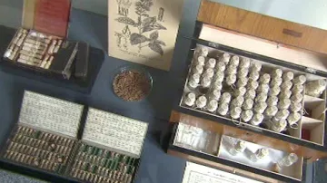 Historické exempláře