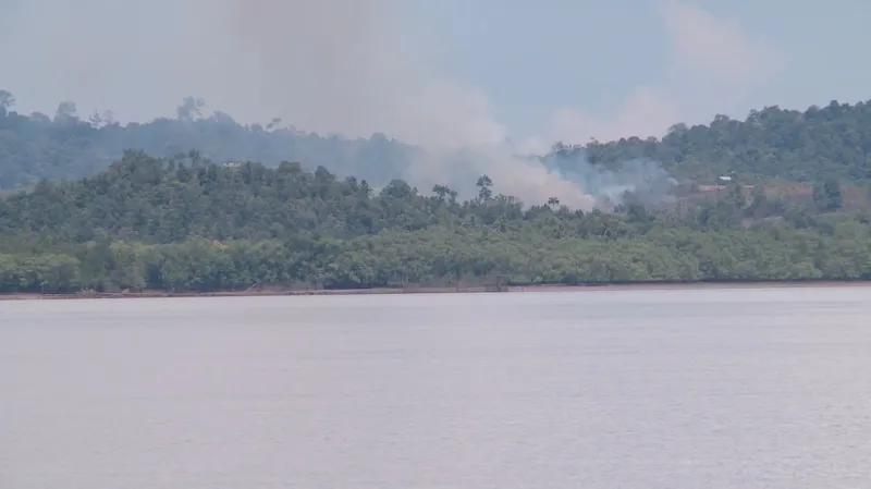 Záběry ČT zachycují vypalování pralesa